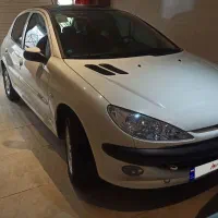 206 تیپ 3پانوراما TU3 در حد خشک