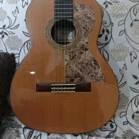 گیتار استیو 4ste|گیتار، بیس، امپلیفایر|ارومیه, |دیوار