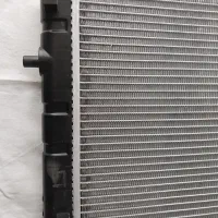 رادیاتور ریو