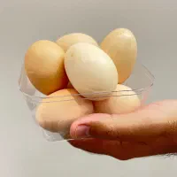 تخم مرغ بومی