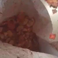 انار دانه کن و ابگیری|خدمات پذیرایی، مراسم|زارچ, |دیوار