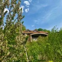 ویلالوکس-جنگلی1000متری2خواب-بسیارتمیز-رضایت100درصد