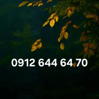 سیمکارت 0912 کد 6