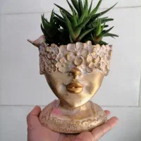 انواع گلدان فانتزی و گل آپارتمانی