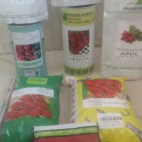 بذرتربچه گلخانه وفضای باز وانواع سبزیجات