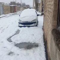 206sdمدل ۸۹