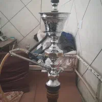 کبوتر|کلکسیون و سرگرمی|باغ بهادران, |دیوار