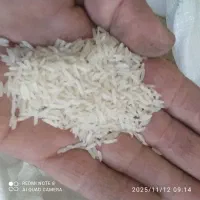 برنج فجر 90روزه