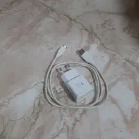 اتو و شارژر اصلی