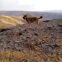 امروز از ایجرود