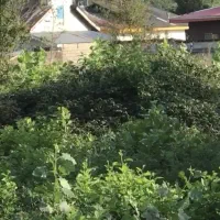 ۱۱۰۰ متر فومن شفت بر جاده اصلی|فروش زمین و ملک کلنگی|تهران, تهرانپارس غربی|دیوار