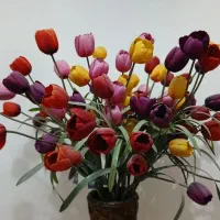 گل و گلدان