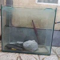 آکواریوم سالم