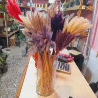 گل خشک دم رباهی بسته ۱۰تایی ۳۵تومن