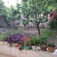 سوئیت خانه باغ ویلا