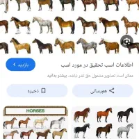 یک راس اسب پیدا کردم