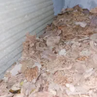 نان خشک درجه یک