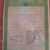 اخذ سند تک برگ شش دانگ|خدمات مالی، حسابداری، بیمه|آمل, |دیوار