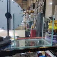 اکواریوم