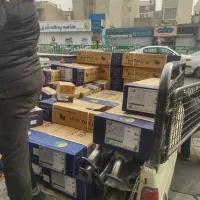 کاتالیزور اگزوز ام وی ام MVM چری فونیکس