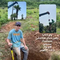 اجرای فضای سبز|خدمات باغبانی و درختکاری|تهران, تجریش|دیوار