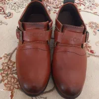 نونو|حراج|سراب, |دیوار