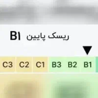 ضامن B1 فقط باجت و مهربانی