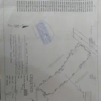 فروش زمین باغی(پرتغال)