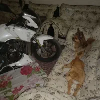 موتورآپاچی مدل ۹۲ بشرط .سالم .ازنظرموتورسالم|موتورسیکلت|خرمدره, |دیوار