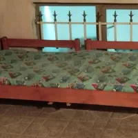 تخت