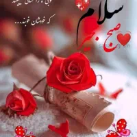 نینجا ۴سیلندر ۲۵۰ سی سی ارارفول