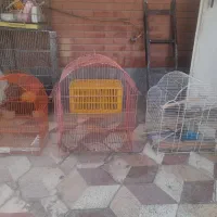 قفس پرنده در همه سایز سالم