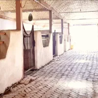 اجاره باکس اسب و پانسیون