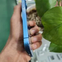 گوشی ip 13 normal|موبایل|فسا, |دیوار