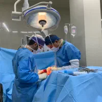 استخدام سئوکار خانم