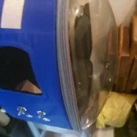 کوله حمل پرنده