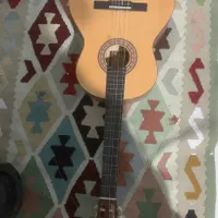 گیتار پارسی m2