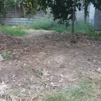 ویلا-باغ-کلنگی