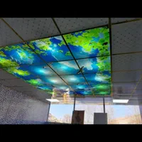 مجری سقف کاذب وکناف وانواع تعمیرات|خدمات پیشه و مهارت|تبریز, |دیوار