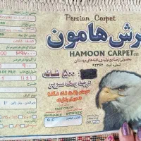 فرش شش متری پانصد شانه|فرش|قائم‌شهر, |دیوار