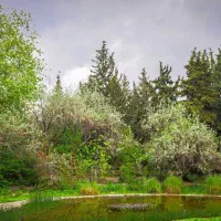 خانه-باغی-با-حیاط