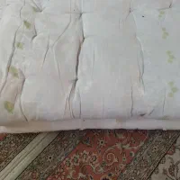 تشک پشمی