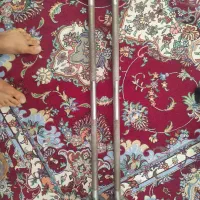 دو عدد هالتر بدنسازی