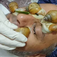 حلزون (کار در منزل)