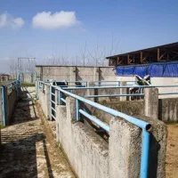 زمین چهار هزار متری سنددار|فروش زمین و ملک کلنگی|رشت, بلوار گیلان|دیوار