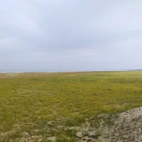 زمین مسکونی