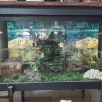 اکواریوم بزرگ