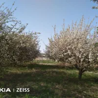 باغ|فروش دفتر صنعتی، کشاورزی، تجاری|بروجرد, |دیوار