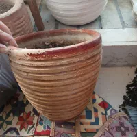 گلدان سفالی|گل و گیاه طبیعی|تهران, هروی|دیوار