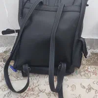 تعدادی کله پشتی|کیف، کفش، کمربند|ایلام, |دیوار